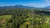 52 Bald Mountain Road, Limpinwood, NSW 2484-Image