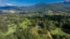 52 Bald Mountain Road, Limpinwood, NSW 2484-Image