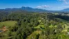 52 Bald Mountain Road, Limpinwood, NSW 2484-Image
