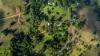 52 Bald Mountain Road, Limpinwood, NSW 2484-Image