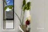52 Berkshire Parade, Penguin, Tas 7316-Image
