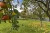 52 Berkshire Parade, Penguin, Tas 7316-Image