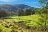 52 Bygraves Road, Crabtree, Tas 7109-Image