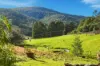 52 Bygraves Road, Crabtree, Tas 7109-Image