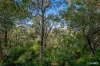 52 Chaucer Way, Kalamunda, WA 6076-Image