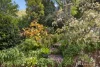 52 Donna Buang Road, Warburton, Vic 3799-Image