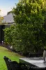 52 Fifth Ave, Ascot Park, SA 5043-Image
