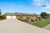52 Hamilton Avenue, Warradale, SA 5046-Image