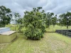 52 JACKSON Avenue, Moranbah, Qld 4744-Image