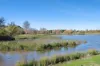 52 Knight Way, Hidden Valley, Vic 3756-Image