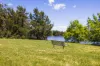 52 Krantzcke Circuit, Nicholls, ACT 2913-Image