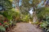 52 Lilyfield Road, Rozelle, NSW 2039-Image