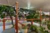52 Mahogany Street, Raceview, Qld 4305-Image