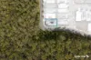 52 Melaleuca Way, Bahrs Scrub, Qld 4207-Image