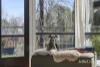 52 Millar Street, Daylesford, Vic 3460-Image