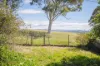 52 Munro Street, Curtin, ACT 2605-Image