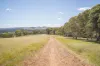 52 Munro Street, Curtin, ACT 2605-Image