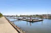 52 North View Street, Hope Island, Qld 4212-Image