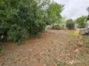 52 Pattison St, Mount Morgan, Qld 4714-Image
