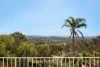 52 Paxton Street, Frenchs Forest, NSW 2086-Image