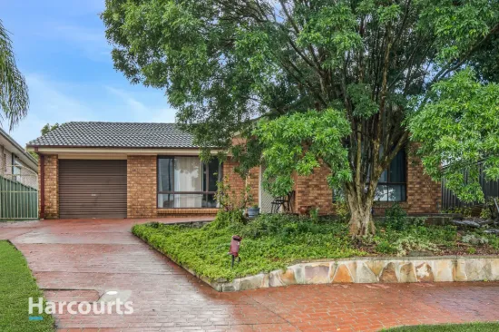 52 Pine Creek Circuit, St Clair, NSW 2759