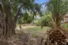 52 Short Terrace, Balaklava, SA 5461-Image