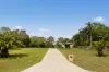 52 Stuart Street, Barellan Point, Qld 4306-Image