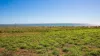 52 Sutherland Street, Port Hedland, WA 6721-Image