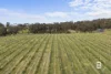 52 Tansey Court, Trawalla, Vic 3373-Image