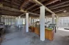 52 Wardrop Street, West Mackay, Qld 4740-Image