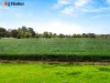 52 Wondalga Crescent, Nowra, NSW 2541-Image