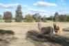 520 Pyke Road, Tatura East, Vic 3616-Image