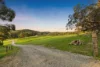 520 Scott Creek Road, Scott Creek, SA 5153-Image