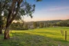520 Scott Creek Road, Scott Creek, SA 5153-Image
