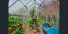 520 West Montagu Road, Montagu, Tas 7330-Image