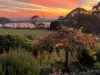 520 West Montagu Road, Montagu, Tas 7330-Image
