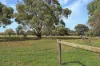5201 Horrocks Highway, Rhynie, SA 5412-Image