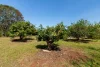523 Longlands Gap Road, Wondecla, Qld 4887-Image