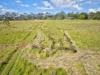 523 Longlands Gap Road, Wondecla, Qld 4887-Image