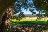 523 Longlands Gap Road, Wondecla, Qld 4887-Image