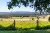 523 Longlands Gap Road, Wondecla, Qld 4887-Image