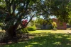 523 Longlands Gap Road, Wondecla, Qld 4887-Image
