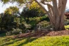 524 to 532 Eumundi Range Road, Eumundi, Qld 4562-Image