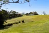 524 to 532 Eumundi Range Road, Eumundi, Qld 4562-Image