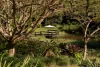 524 to 532 Eumundi Range Road, Eumundi, Qld 4562-Image