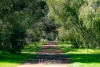 528 Goulden Road, Sabina River, WA 6280-Image