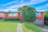 529 North Rocks Road, Carlingford NSW 2118-Image