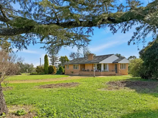 529 Olympic Hwy North, Young, NSW 2594