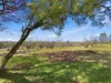 529 Olympic Hwy North, Young, NSW 2594-Image