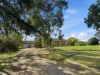 529 Olympic Hwy North, Young, NSW 2594-Image